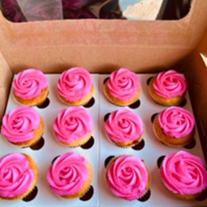 Plain Cupcakes